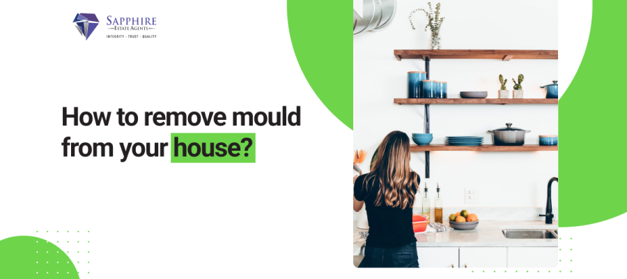 Remove-mould-from-your-house