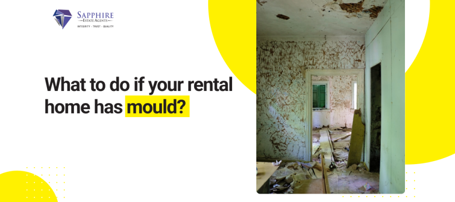 What-to-do-if-your-rental-home-has-mould